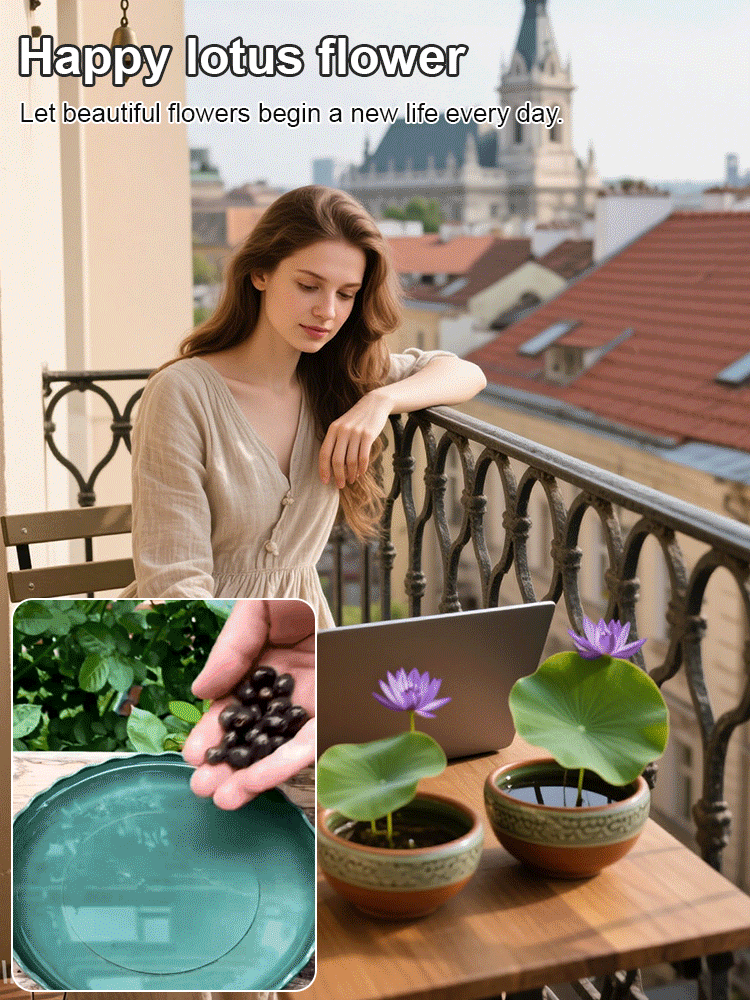 [Fortune-bringing and fortune-bringing] Ornamental water-cultured lotus