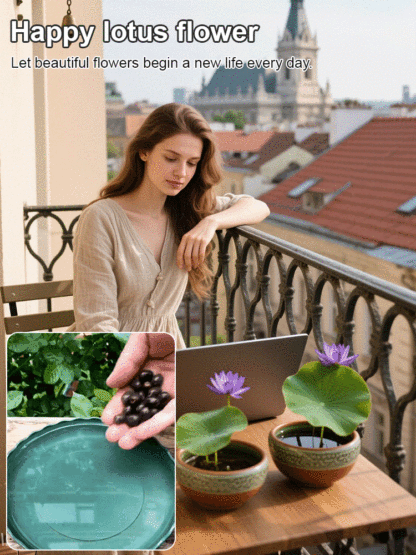 [Fortune-bringing and fortune-bringing] Ornamental water-cultured lotus