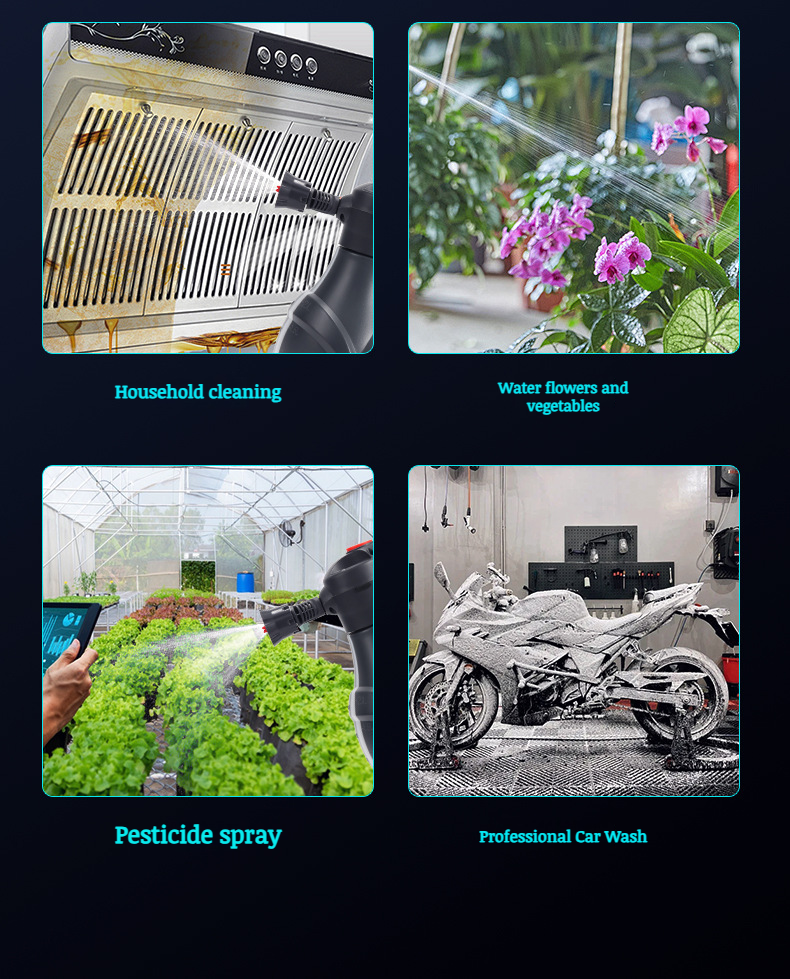 Small portable electric sprayer for plants and gardens