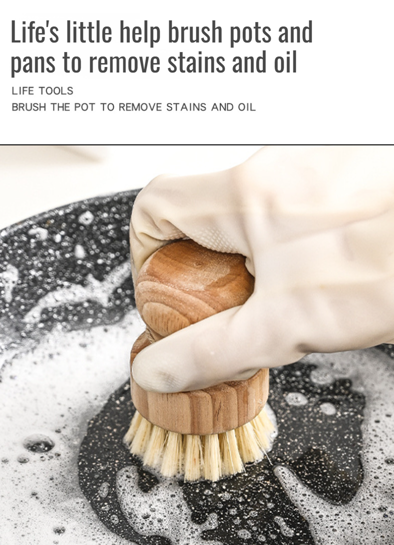 Eco-friendly household wooden dish brush close-up