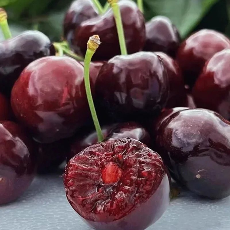 [100% Germination Guarantee] 4J XXL Regina Sweet Cherry Seeds | Carefully Selected Seeds with High Germination Rates | Bears Fruit Within One Year of Planting | Ideal for Balconies and Gardens | Cold-Hardy to -20°C 🍒