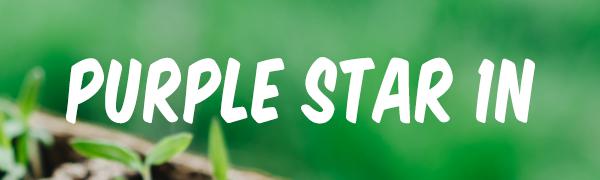 Damage Reducing Transplanting Tongs close-up view