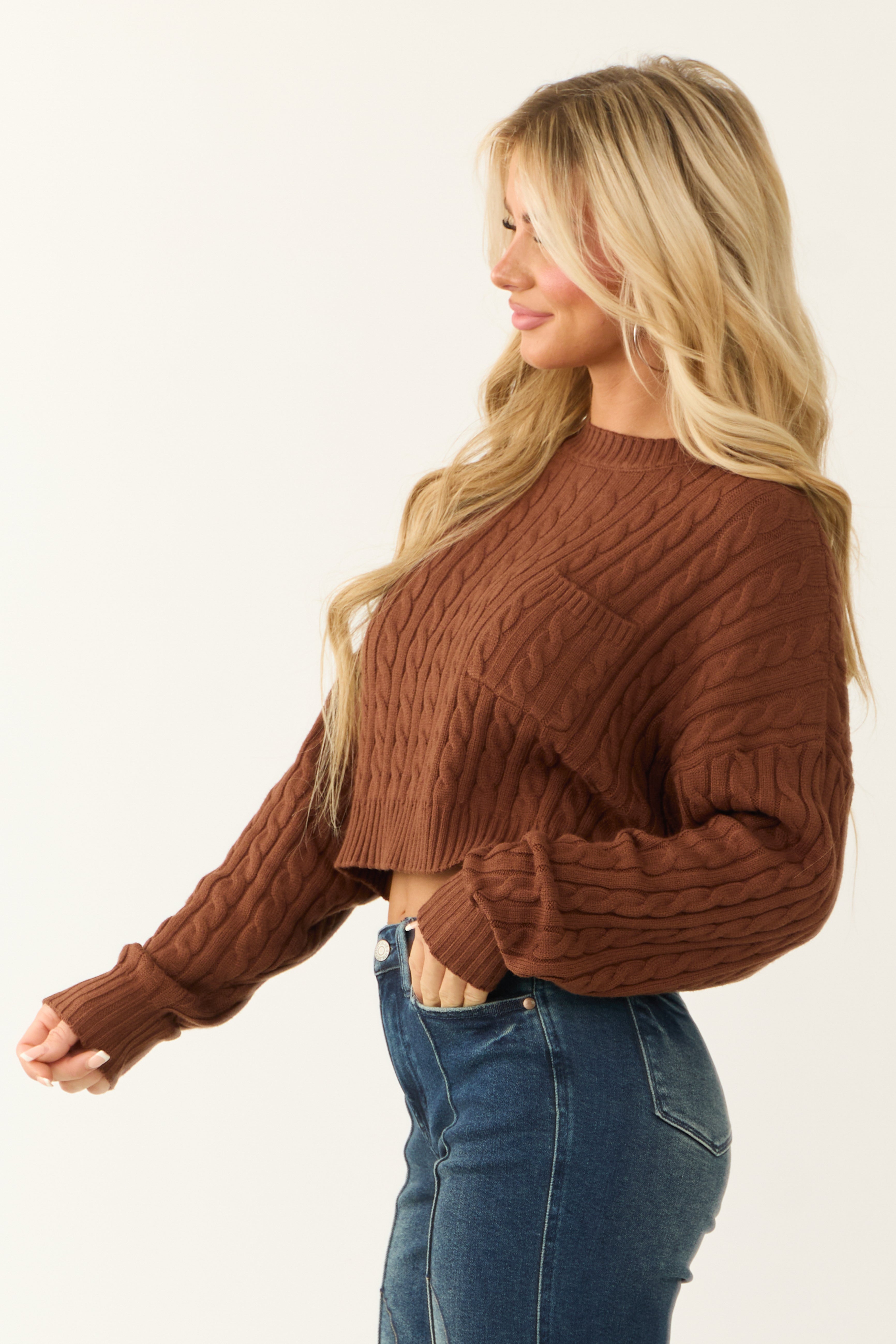 Cocoa Cropped Soft Cable Knit Sweater-Newayad