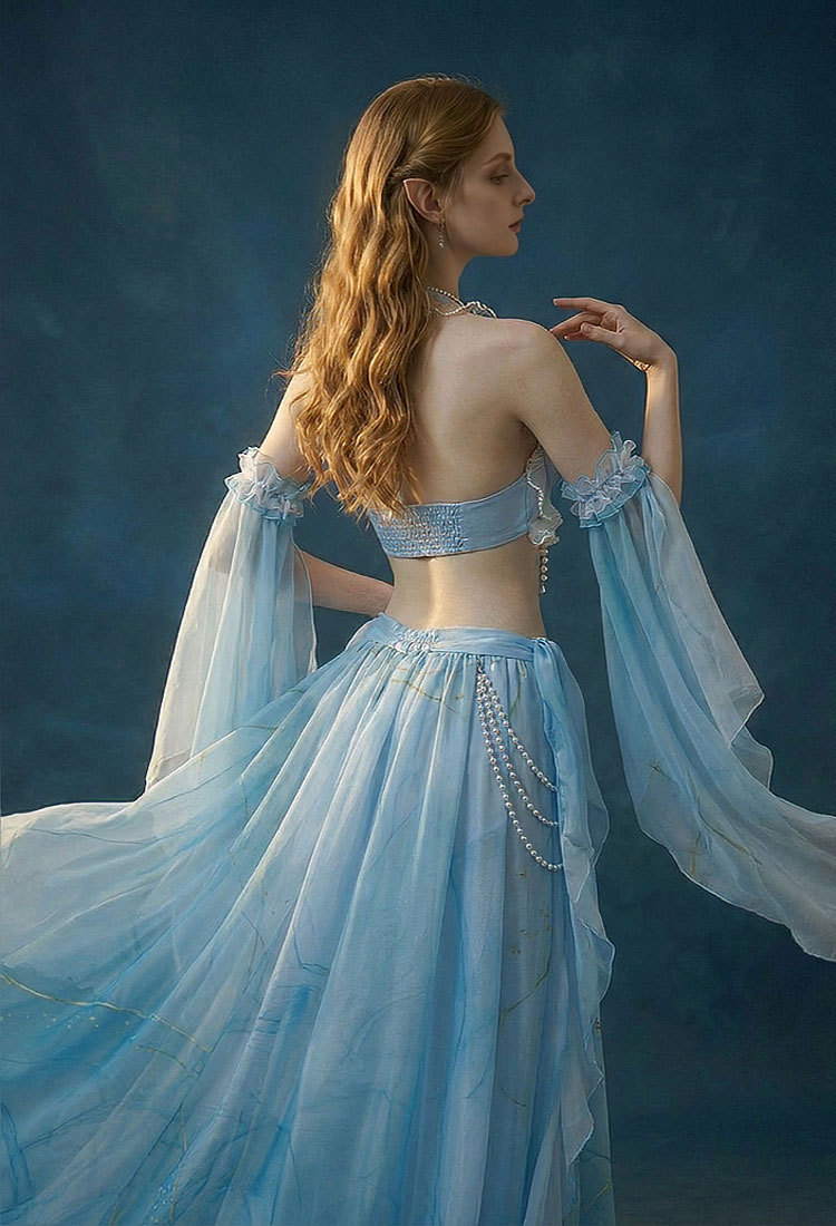 Medieval Renaissance Outfit Mermaid Costume Seashell Top and Skirt with Sleeves and Waist Chain