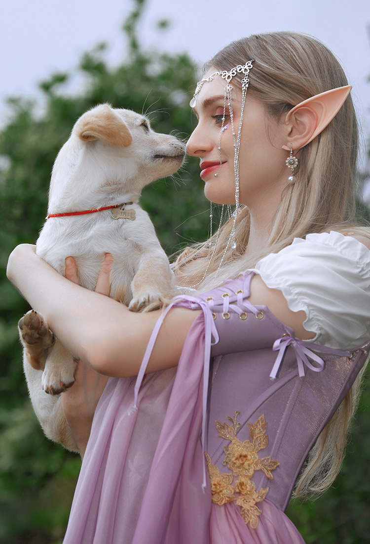 Medieval Renaissance Costume Elf Style Gradient Dress with Sleeves