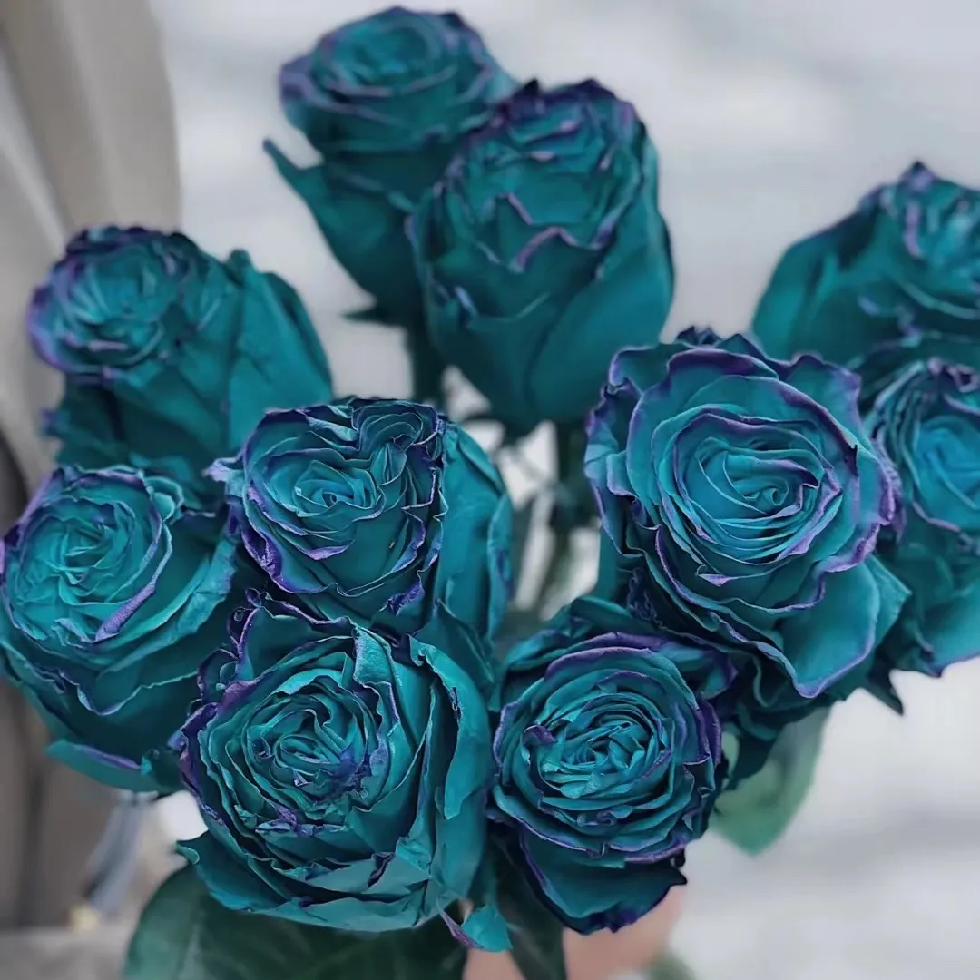 🎁Today's Special Offer🎁🌹Rare Rose Seed Series