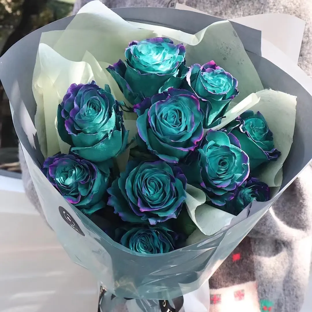 🎁Today's Special Offer🎁🌹Rare Rose Seed Series
