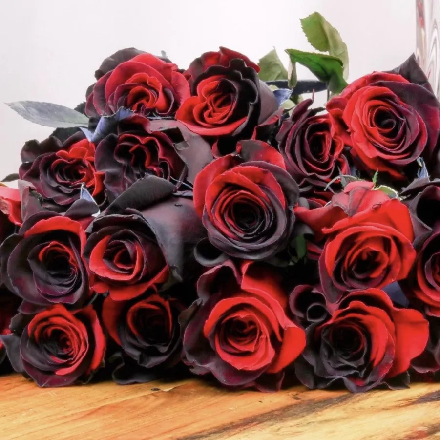 🎁Today's Special Offer🎁🌹Rare Rose Seed Series