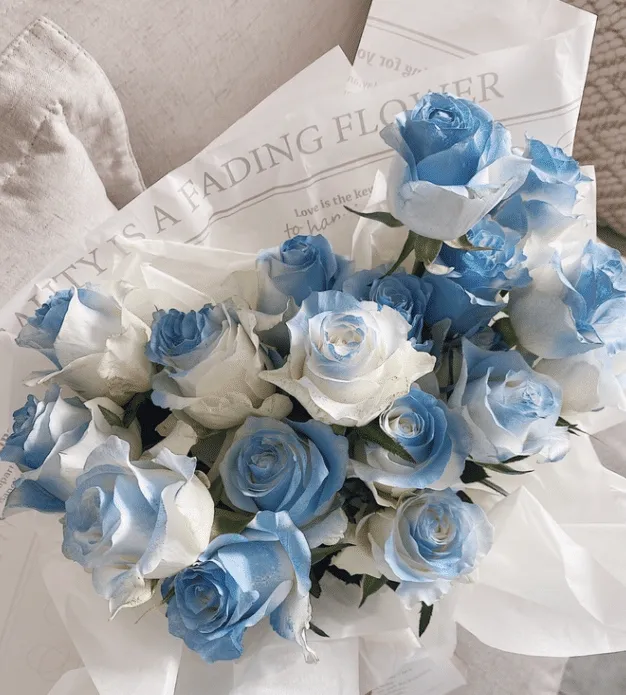 🎁Today's Special Offer🎁🌹Rare Rose Seed Series