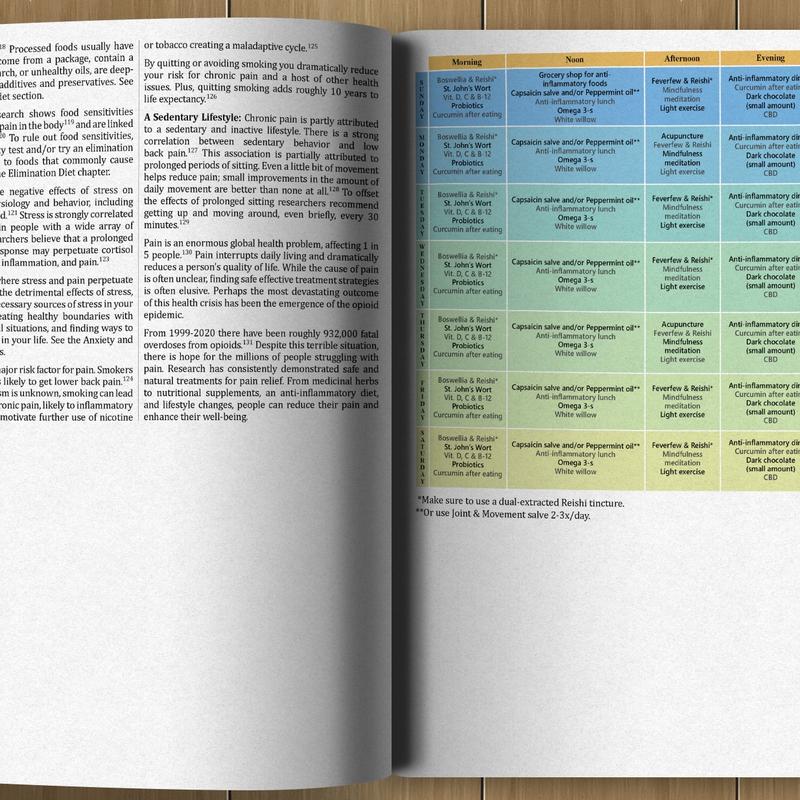 🔥Clearance Sale– Today Only!🔥The Holistic Guide to Wellness: Herbal Protocols for Common Ailments | 45 Different Health Conditions
