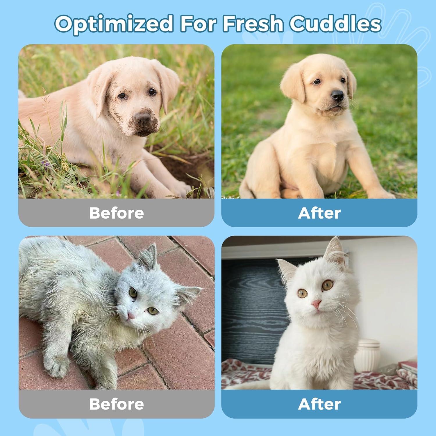 💥Special Promotion💥Pet Glove Wipes for Dogs & Cats