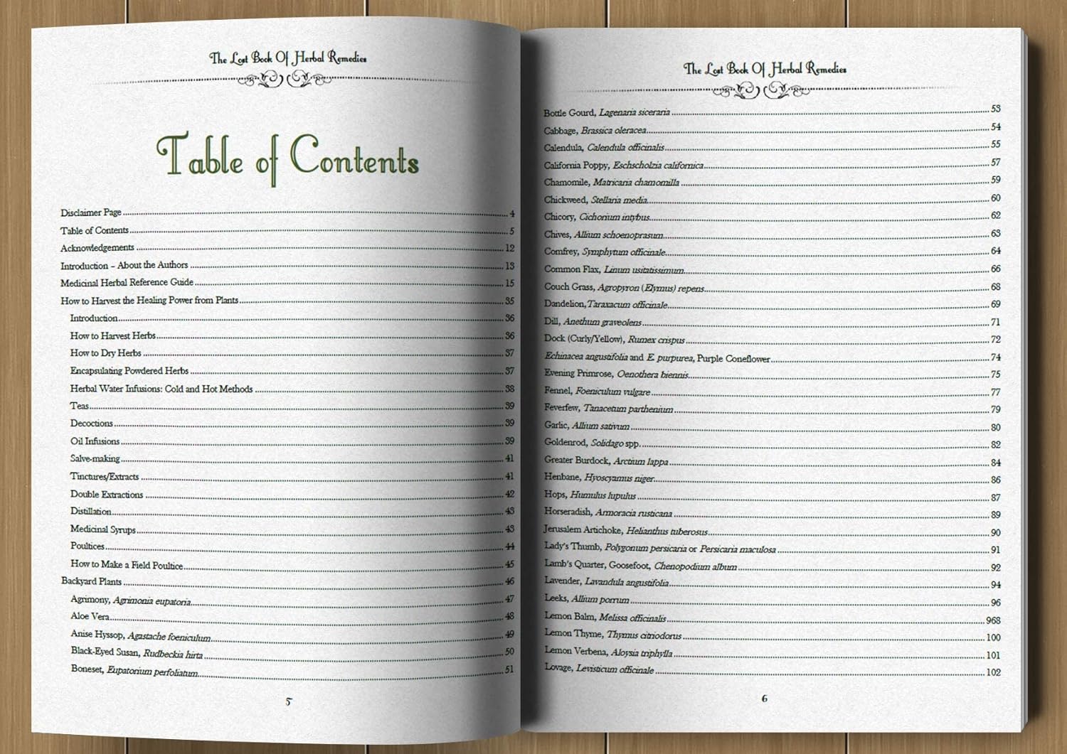 🔥Clearance Sale– Today Only!🔥The Lost Book of Herbal Remedies 