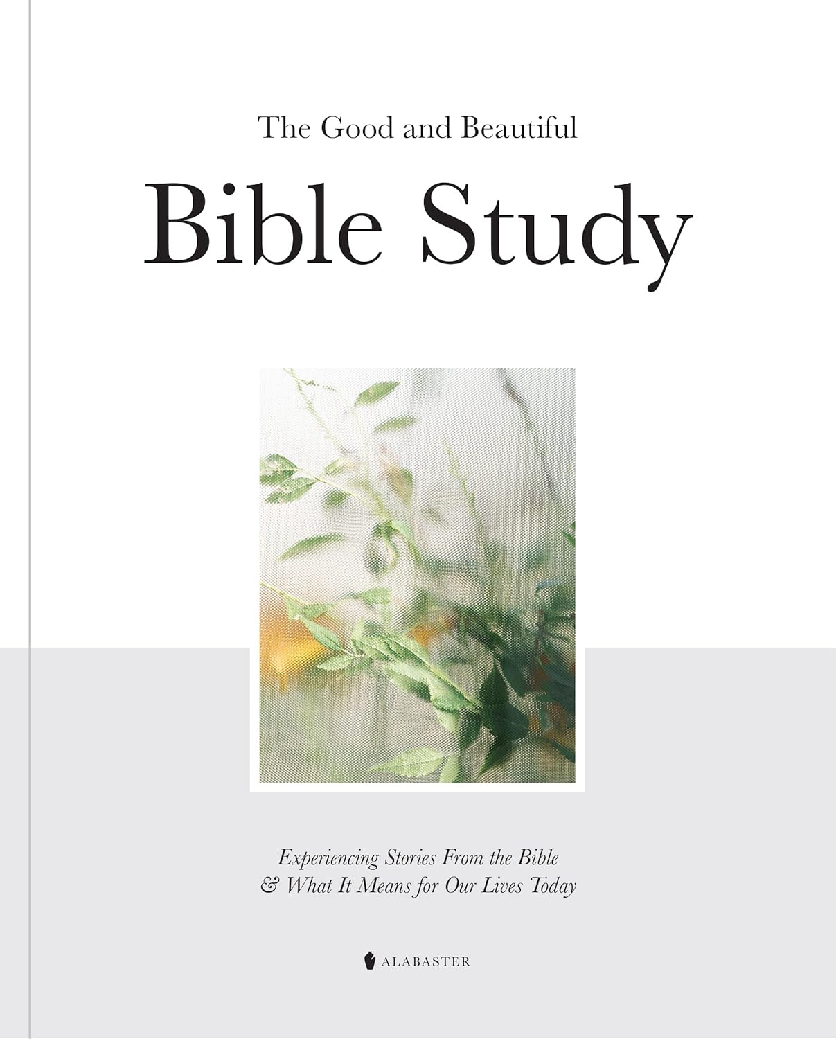 🔥Clearance Sale – Today Only!🔥The Good and Beautiful Bible Study - Volume 1