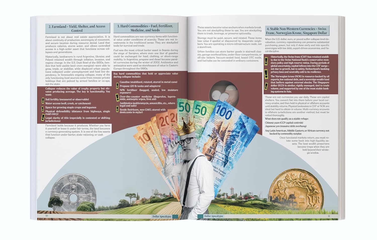 Dollar Apocalypse: Survival Guide for the Next Great Depression