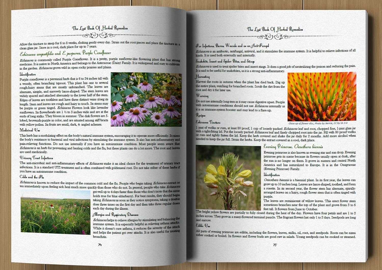🔥Clearance Sale– Today Only!🔥The Lost Book of Herbal Remedies 