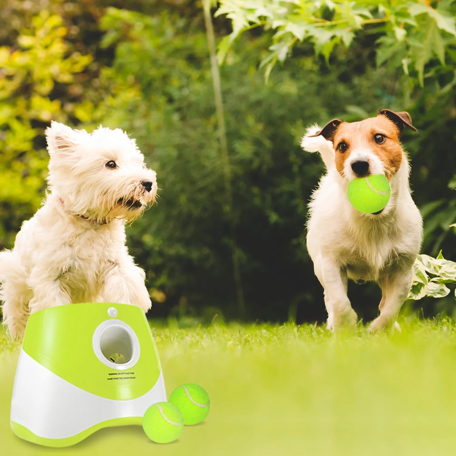 💥Special Promotion💥Automatic Dog Ball Launcher
