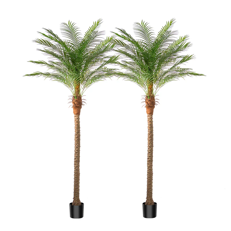 🚨𝐅𝐢𝐧𝐚𝐥 𝐌𝐚𝐫𝐤𝐝𝐨𝐰𝐧𝐬 𝐒𝐭𝐚𝐫𝐭 𝐍𝐨𝐰🔥Tropical Touch | Realistic Artificial Phoenix Palm Tree