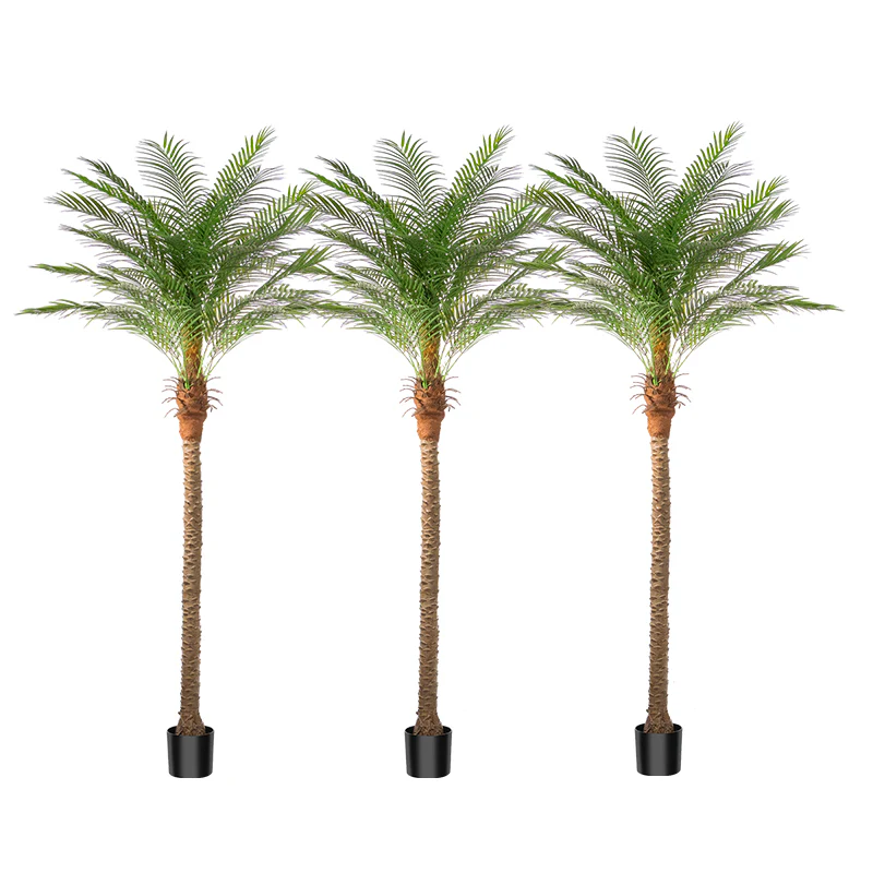 🚨𝐅𝐢𝐧𝐚𝐥 𝐌𝐚𝐫𝐤𝐝𝐨𝐰𝐧𝐬 𝐒𝐭𝐚𝐫𝐭 𝐍𝐨𝐰🔥Tropical Touch | Realistic Artificial Phoenix Palm Tree