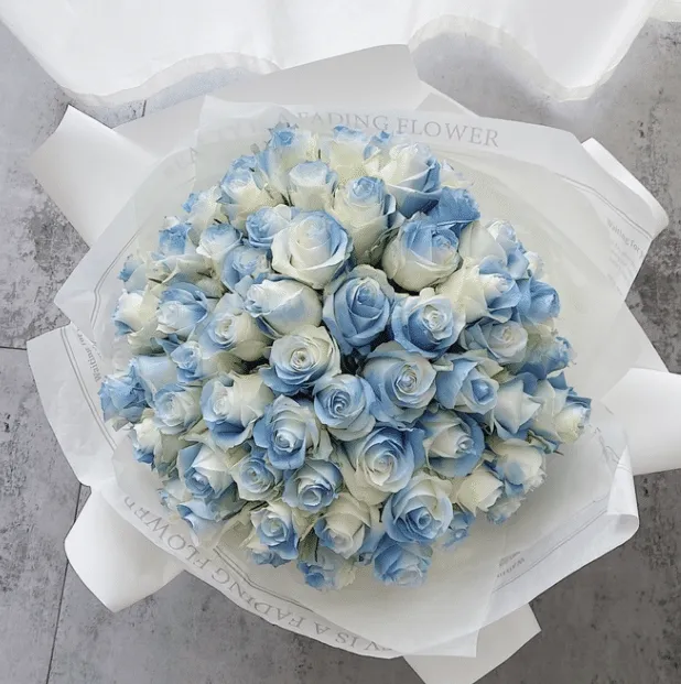 🎁Today's Special Offer🎁🌹Rare Rose Seed Series