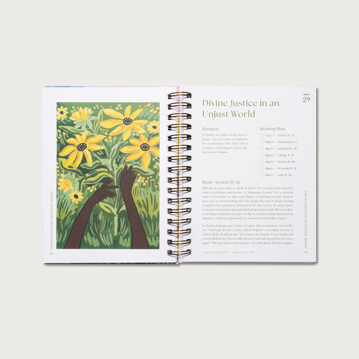 🚨Mother's Day Special🔥A Beautiful Year in the Bible: The 52-Week Bible Study for Women