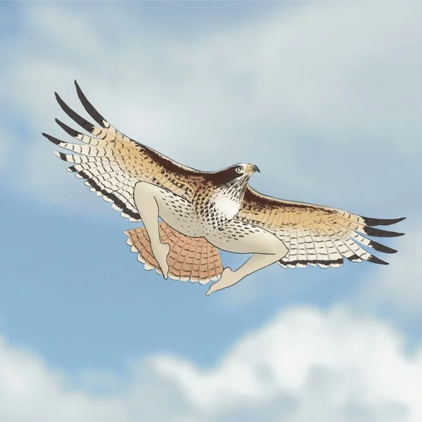 2025 CALENDAR OF EXTREMELY ACCURATE BIRDS 🐦