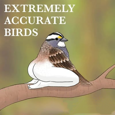 2025 Wall Calendar Extremely Accurate Birds🐦
