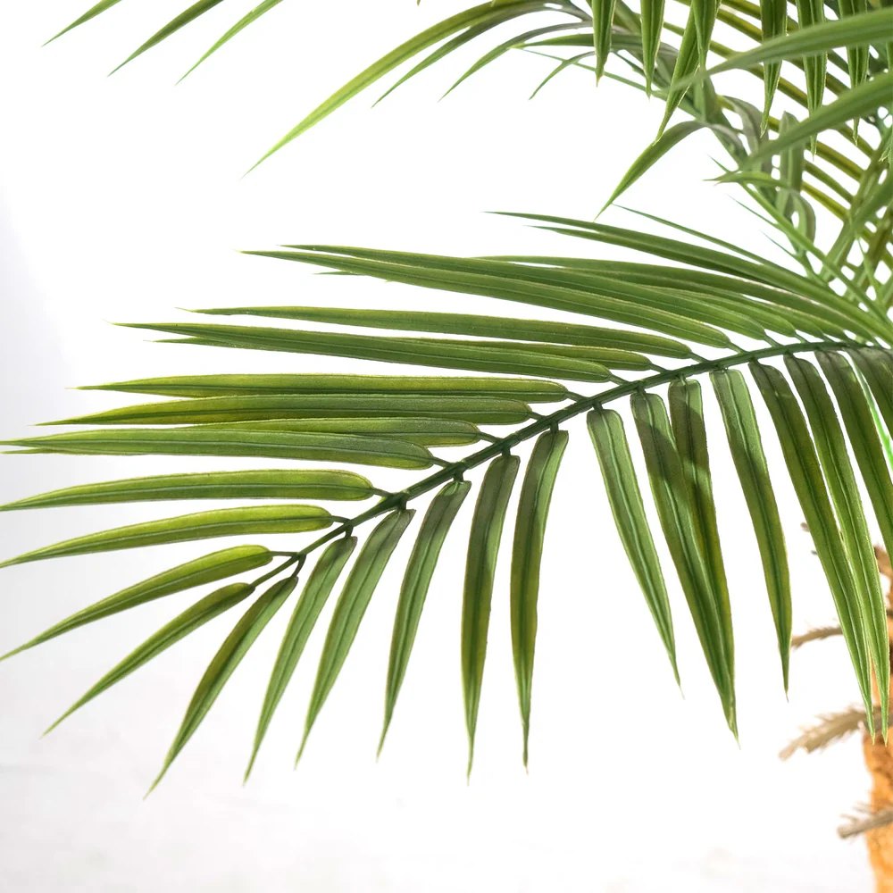 🚨𝐅𝐢𝐧𝐚𝐥 𝐌𝐚𝐫𝐤𝐝𝐨𝐰𝐧𝐬 𝐒𝐭𝐚𝐫𝐭 𝐍𝐨𝐰🔥Tropical Touch | Realistic Artificial Phoenix Palm Tree