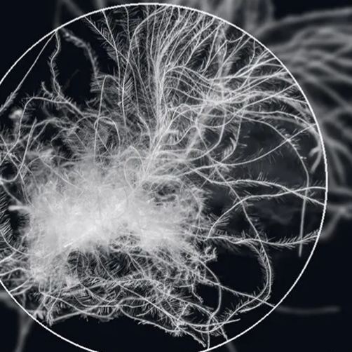 100% Duck Down Duvet, 10.5 Tog, White