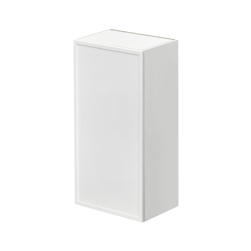 Shady Slim White Shaker - 21"W × 42"H Standard Wall Cabinet