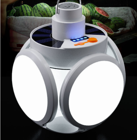 Flying saucer-shaped bulb