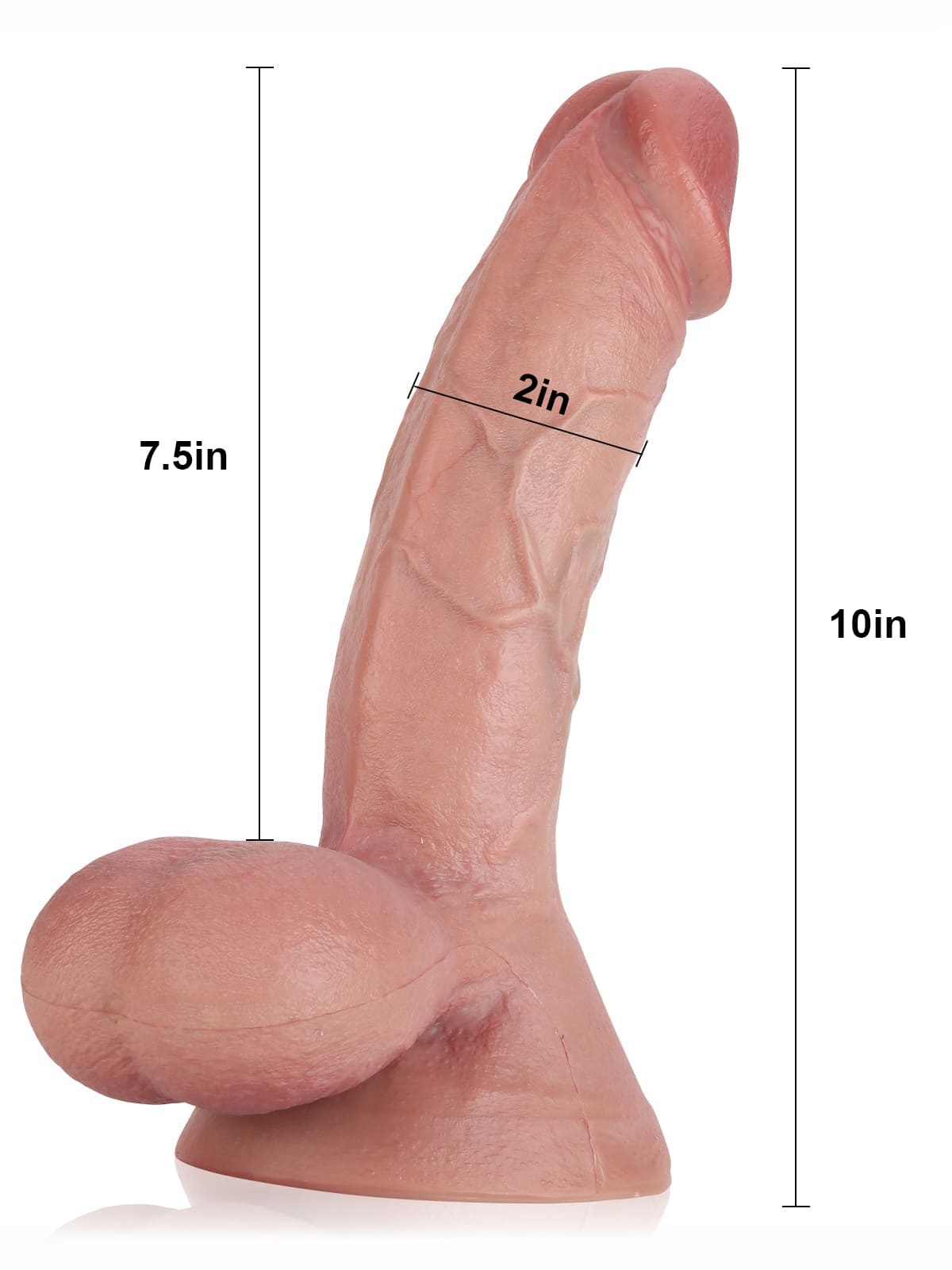 Rob 9" x 2" Realistic Soft Dildo With Swinging Balls
