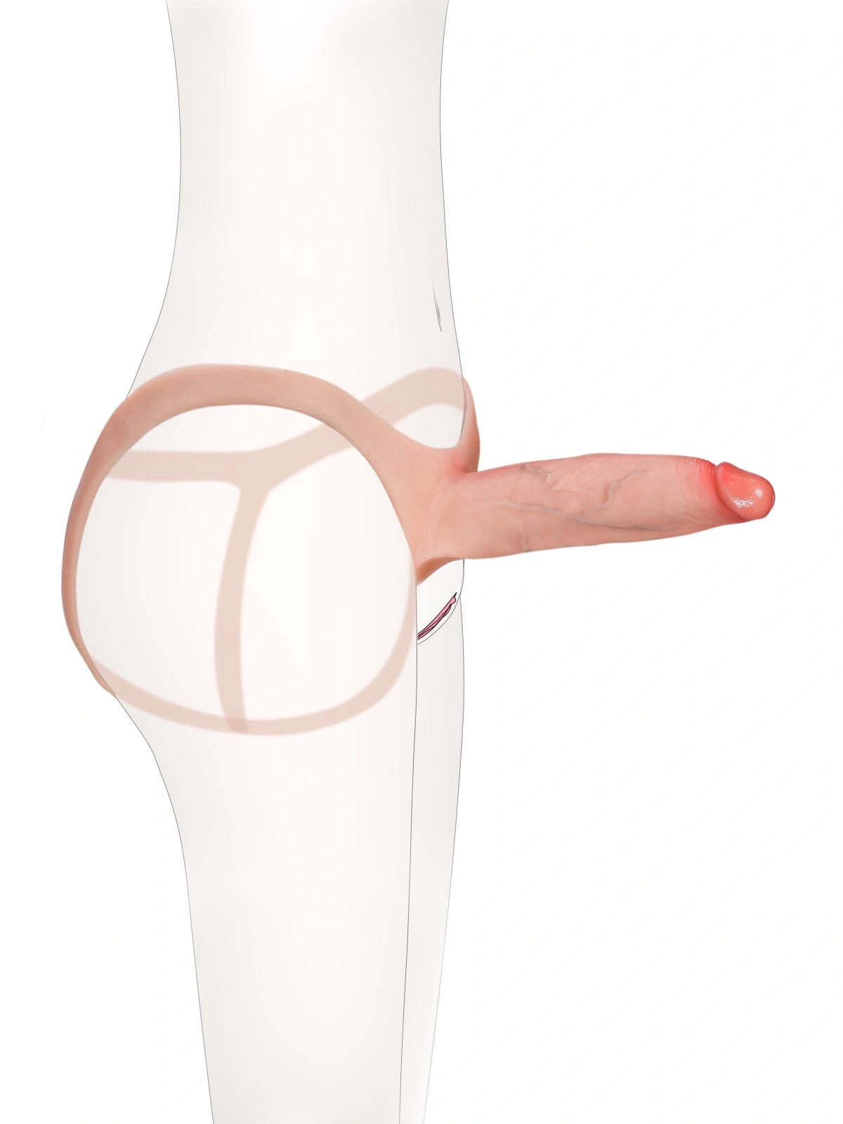 7.5" x 2" Hollow Strap-On with Penis Extension Sleeve For Women, Men, and Couples • ED Support • Wearable Design