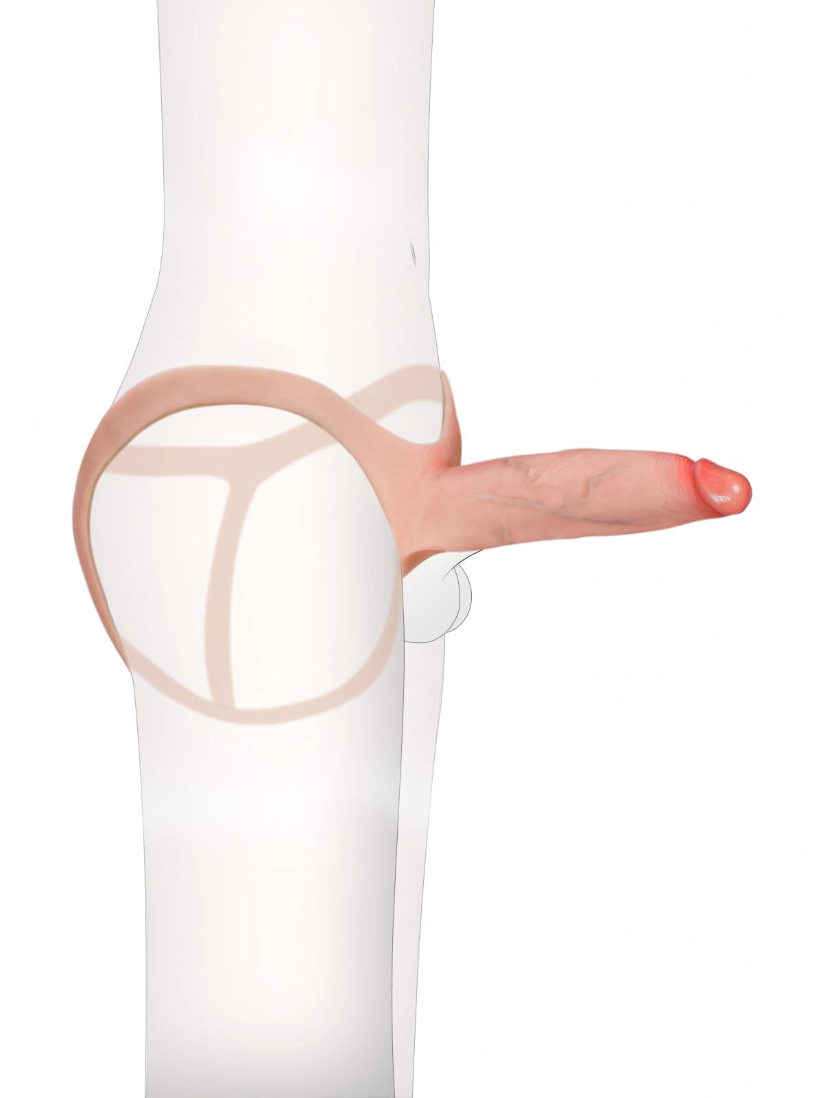 7.5" x 2" Hollow Strap-On with Penis Extension Sleeve For Women, Men, and Couples • ED Support • Wearable Design