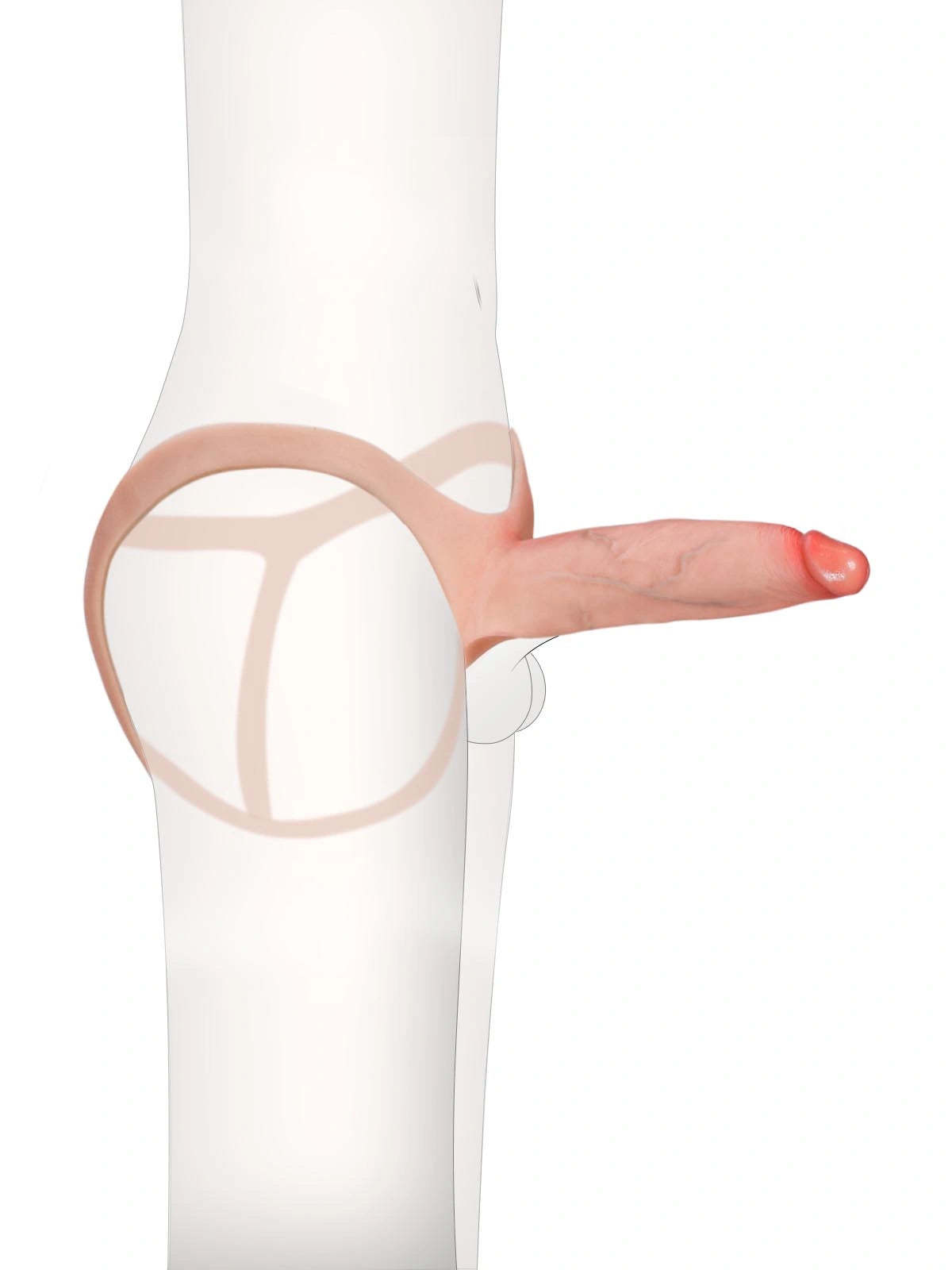 7.5" x 2" Hollow Strap-On with Penis Extension Sleeve For Women, Men, and Couples • ED Support • Wearable Design