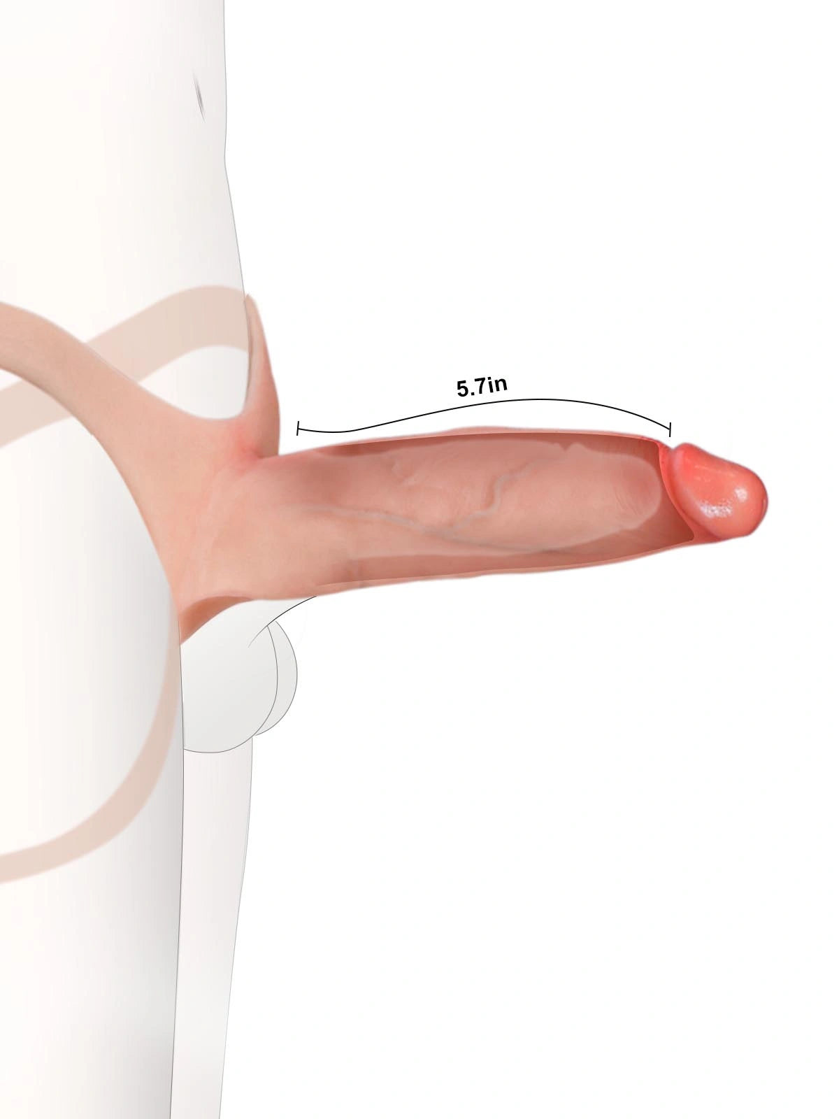 7.5" x 2" Hollow Strap-On with Penis Extension Sleeve For Women, Men, and Couples • ED Support • Wearable Design