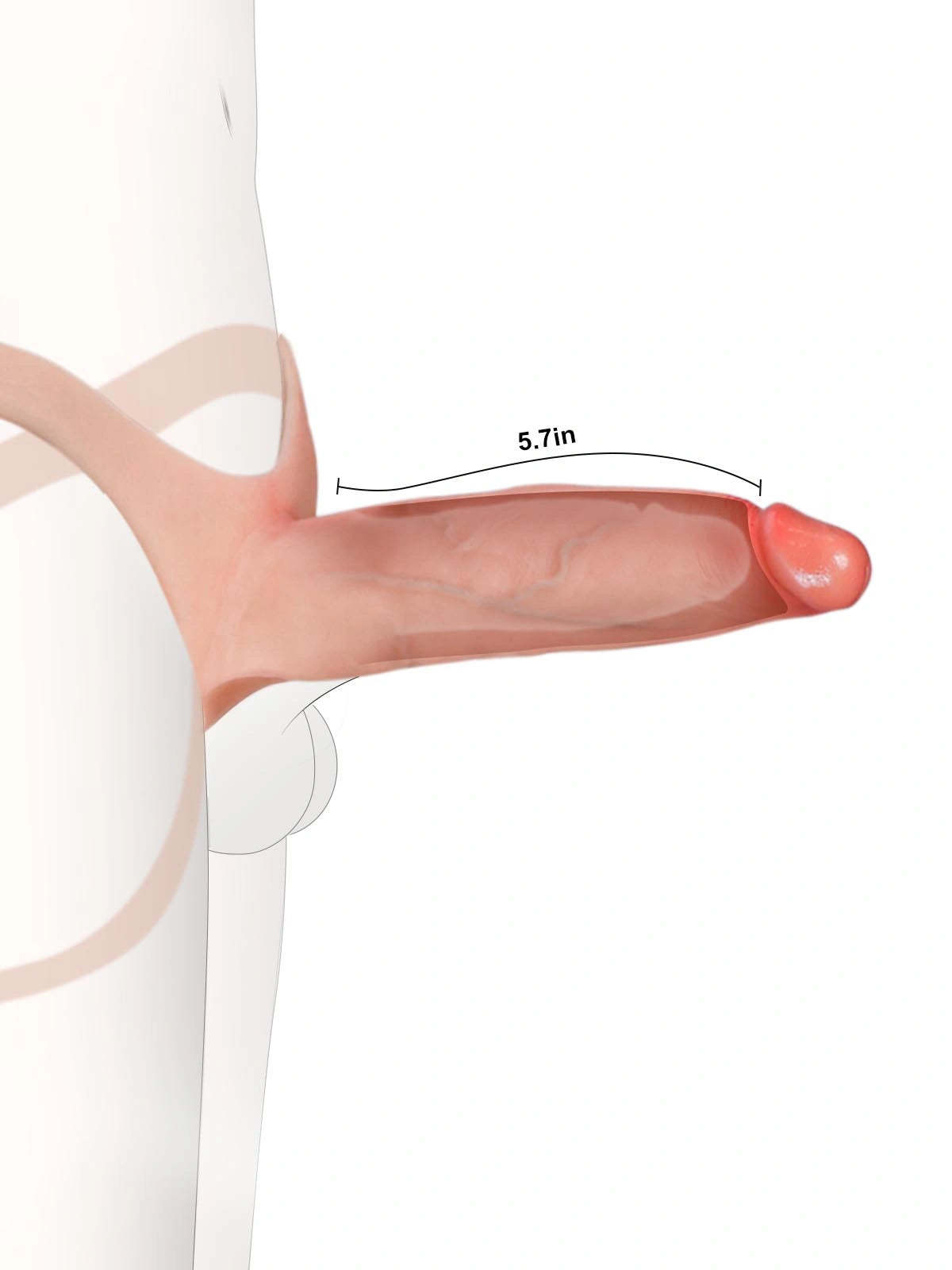 7.5" x 2" Hollow Strap-On with Penis Extension Sleeve For Women, Men, and Couples • ED Support • Wearable Design