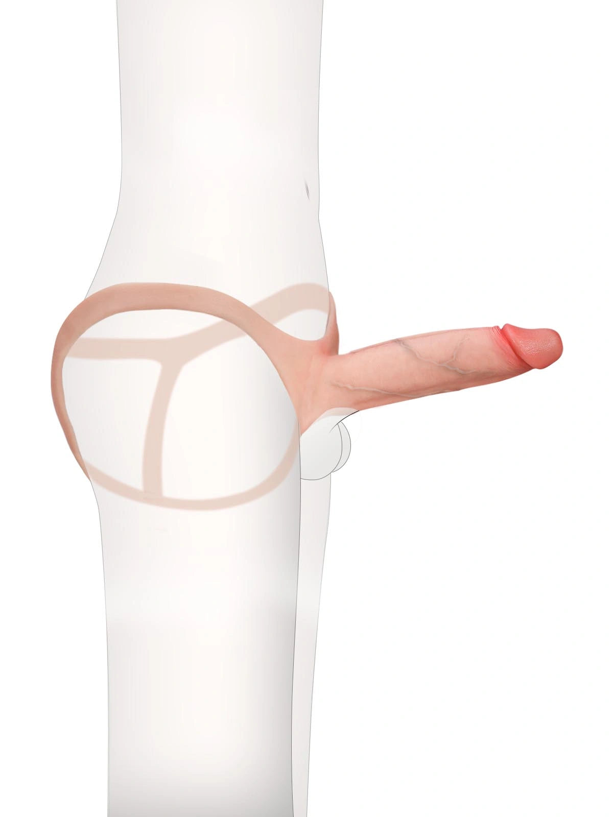 Seraphine  8.3" x 2.2" Wearable Hollow Dildo Strap-On • Penis Extender • ED Sleeve • For Women & Men