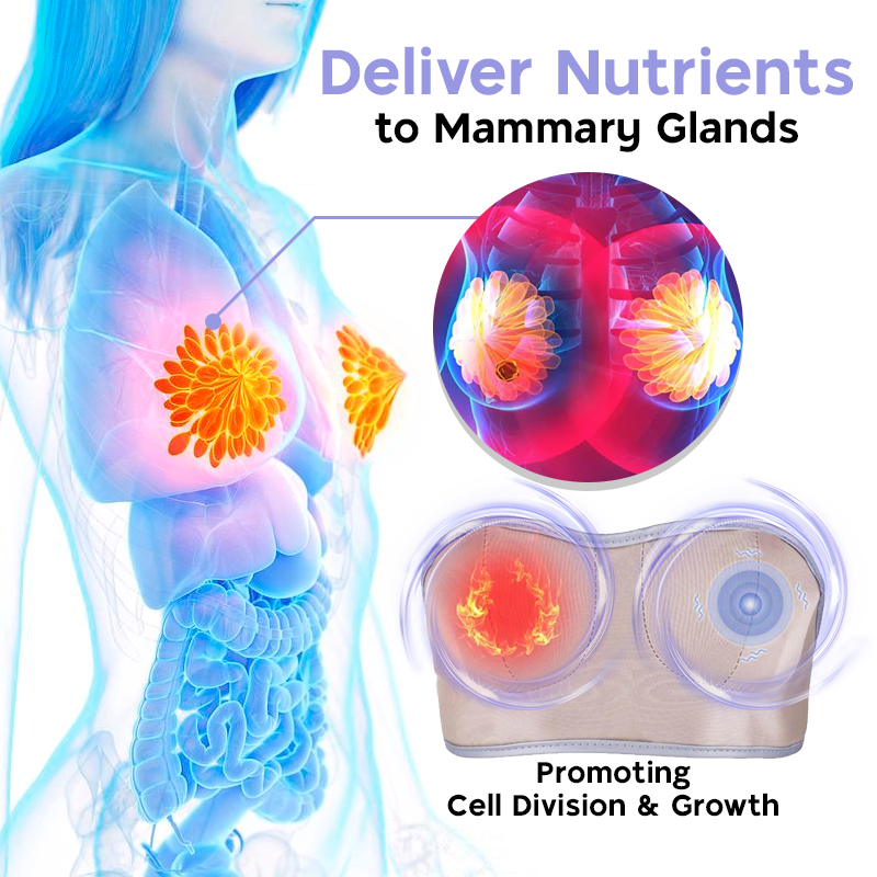 Sinarey™ CurvaLift Electric Chest Massager