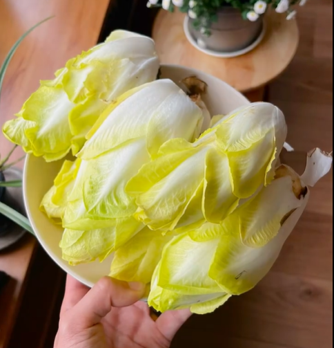 Golden Magnolia Seeds—The “Prince” of European Vegetables-Plantjoyfarm-Vegetable Seeds,best selling