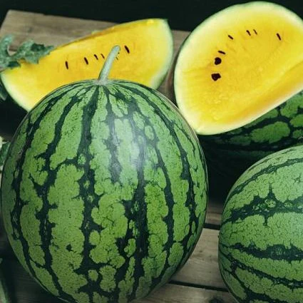 Watermelon Seeds - Yellow Petite-Plantjoyfarm-Fruit Seeds,best selling
