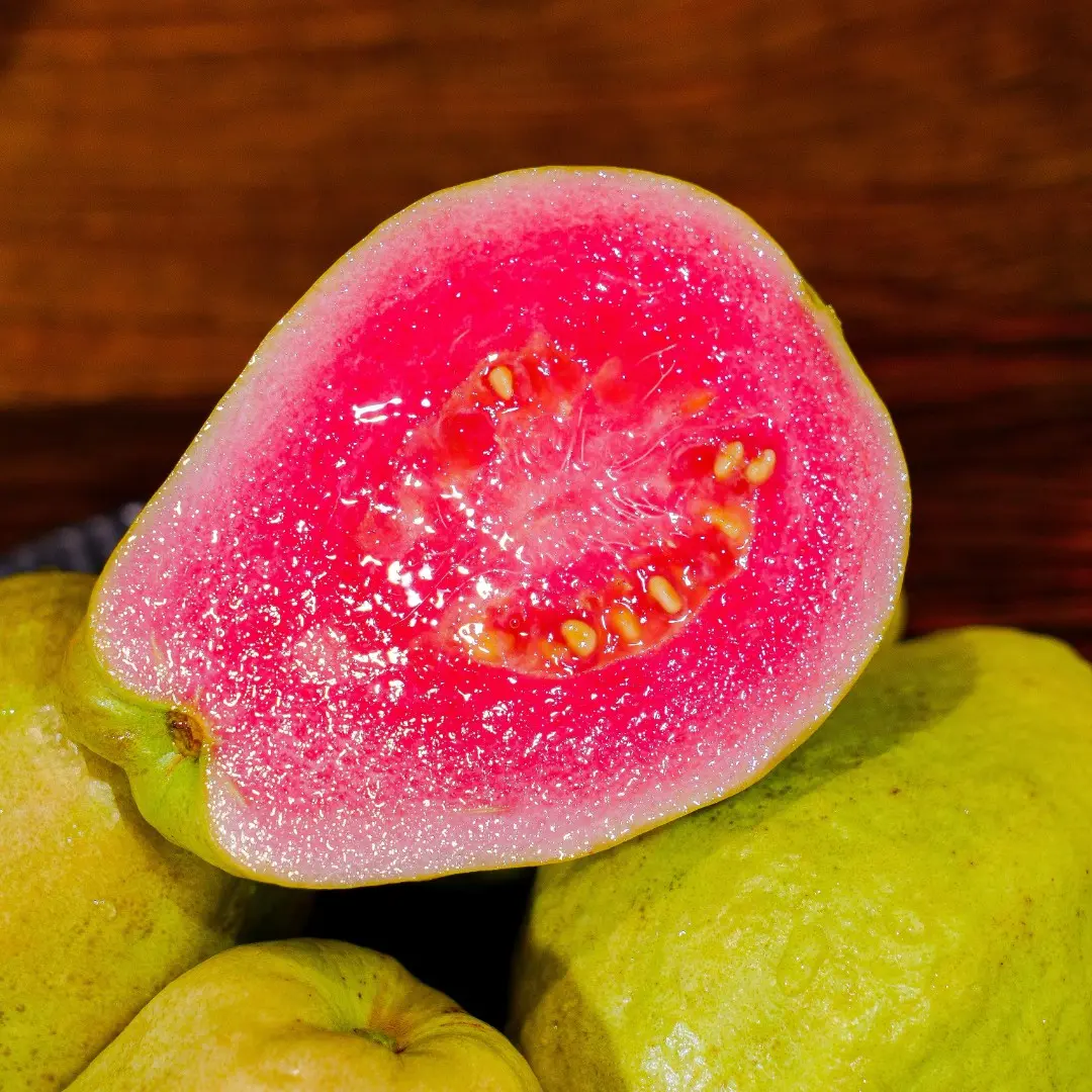 Ruby Guava Seeds-Plantjoyfarm-