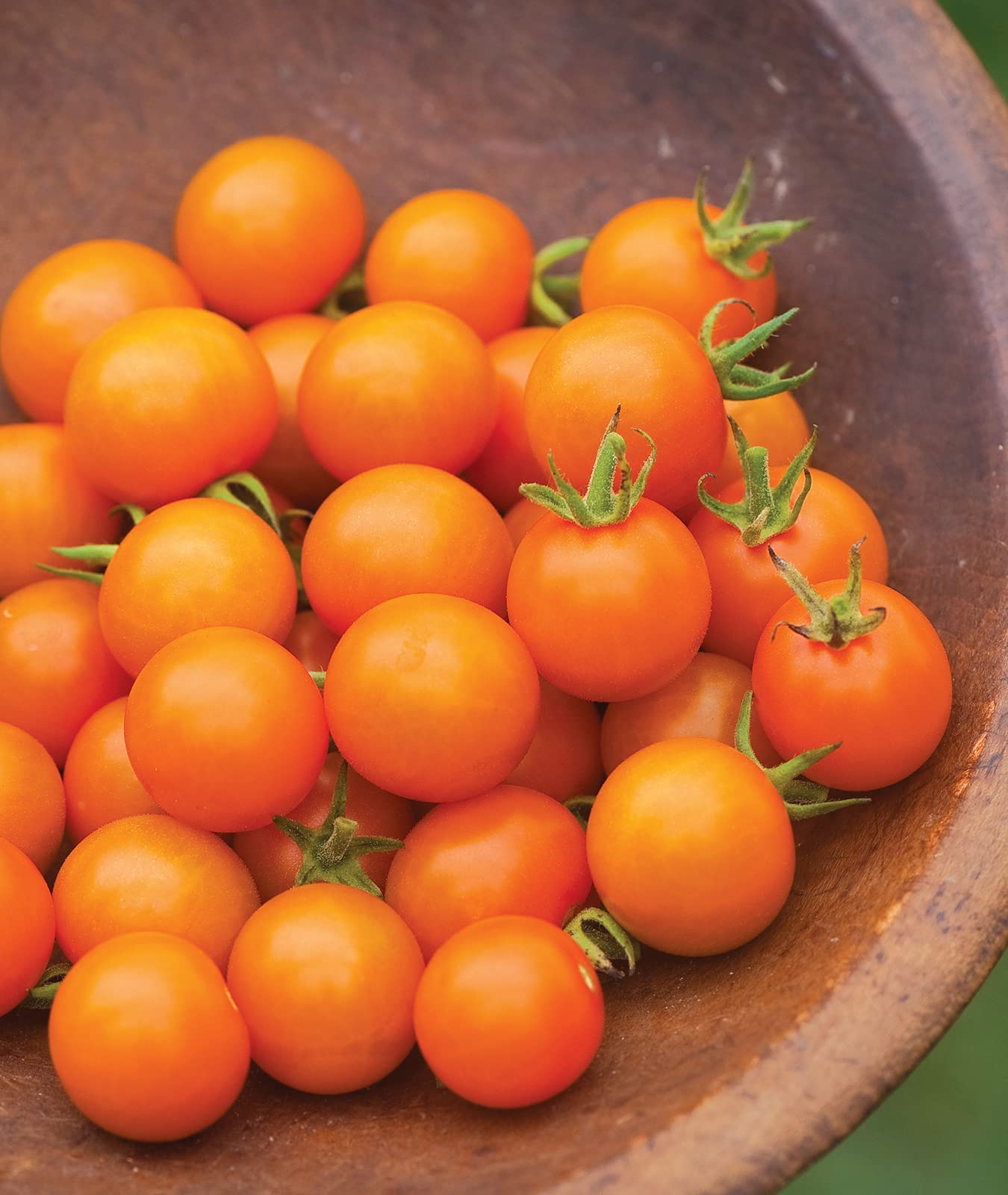 Sungold Tomato,Cherry Tomato Seeds-Plantjoyfarm-Tomato Seeds,vegetable