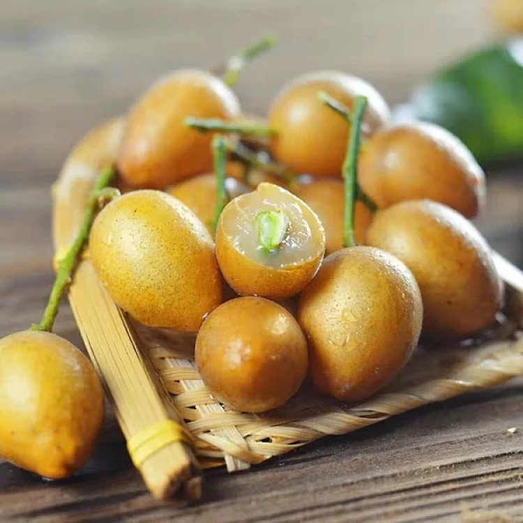 Wampee Fruit Seeds-Plantjoyfarm-