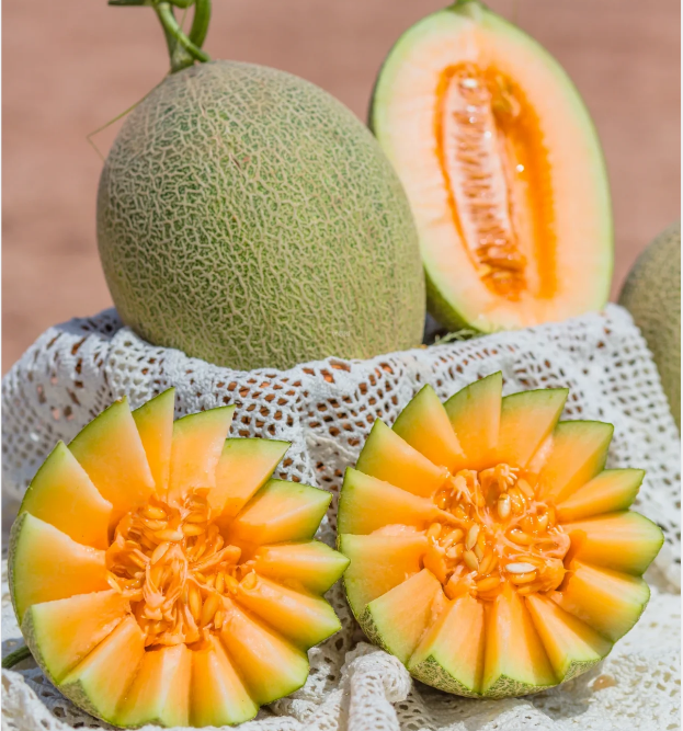Reticulated Cantaloupe Seeds-Plantjoyfarm-Fruit Seeds,best selling