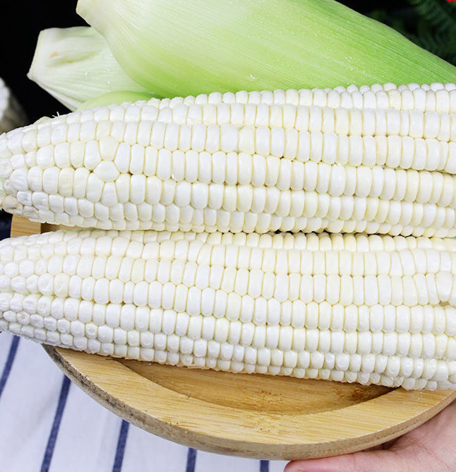 Milk Candy Corn Seeds-Plantjoyfarm-Vegetable Seeds,best selling