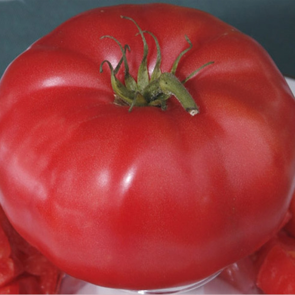 Giant Monster Tomato Seeds-Plantjoyfarm-Garden Seeds,Tomato,best selling
