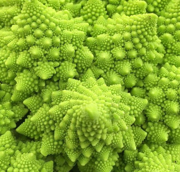 Roman Pagoda Cauliflower Seeds-Plantjoyfarm-Vegetable Seeds,best selling