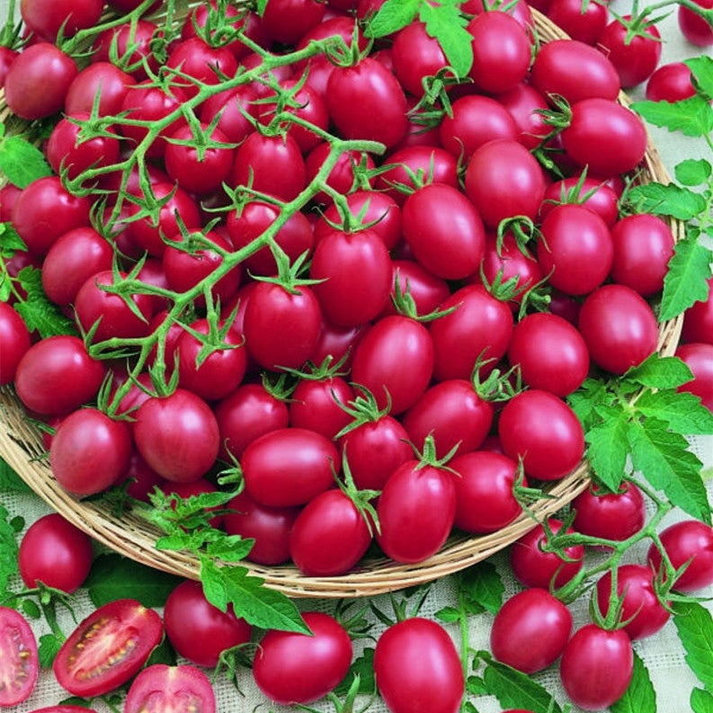 Tomato Cherry Pink Grape-Plantjoyfarm-0222,Fruit Seeds,best selling