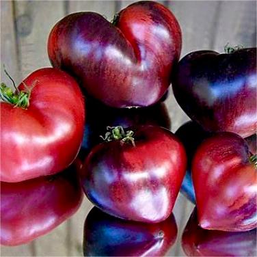 Sgt. Pepper's Tomatoes Seeds - Heirloom-Plantjoyfarm-