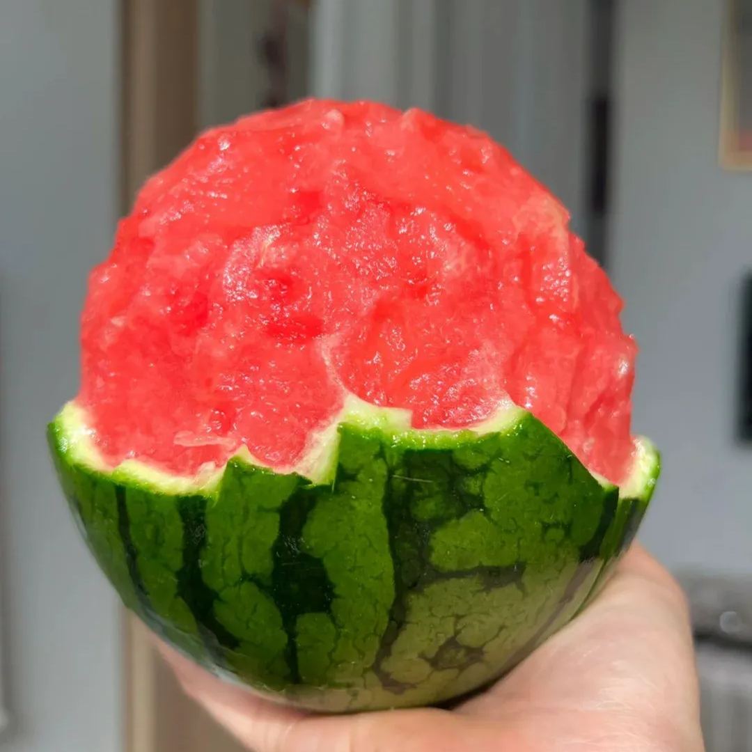 Early Spring Red Jade Watermelon Seeds